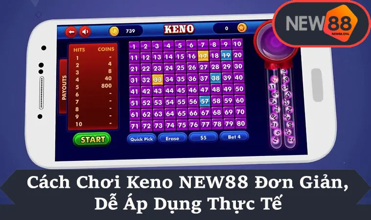 Cách Chơi Keno NEW88 Đơn Giản, Dễ Áp Dụng Thực Tế
