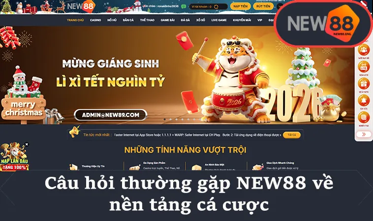 Câu hỏi thường gặp NEW88 về nền tảng cá cược