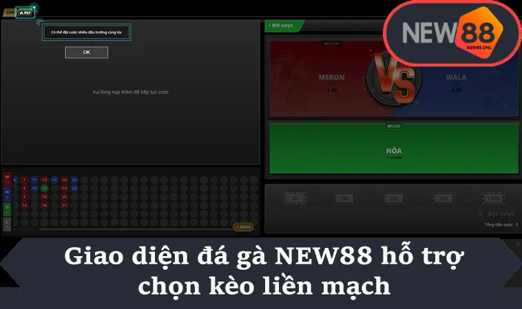 Giao diện đá gà NEW88 hỗ trợ chọn kèo liền mạch