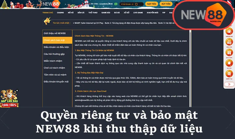Quyền riêng tư và bảo mật NEW88 khi thu thập dữ liệu