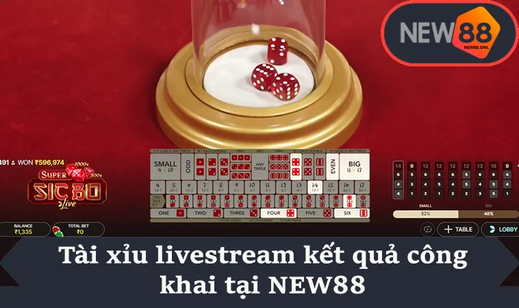 Tài xỉu livestream kết quả công khai tại NEW88