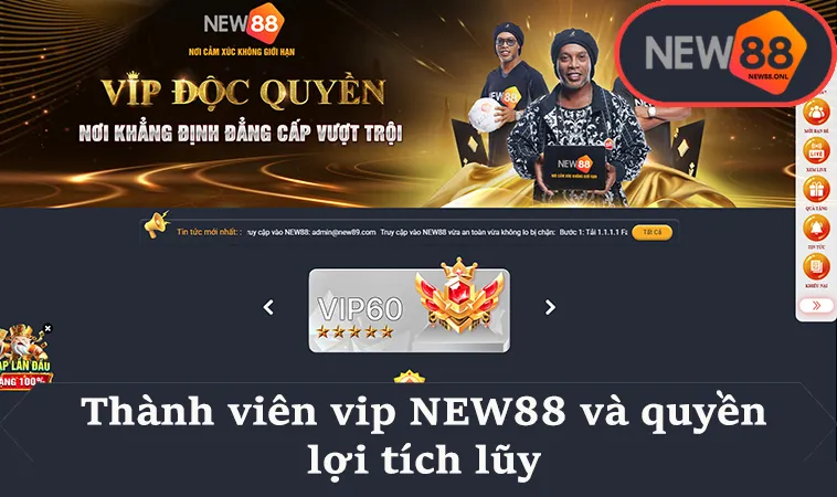 Thành viên vip NEW88 và quyền lợi tích lũy