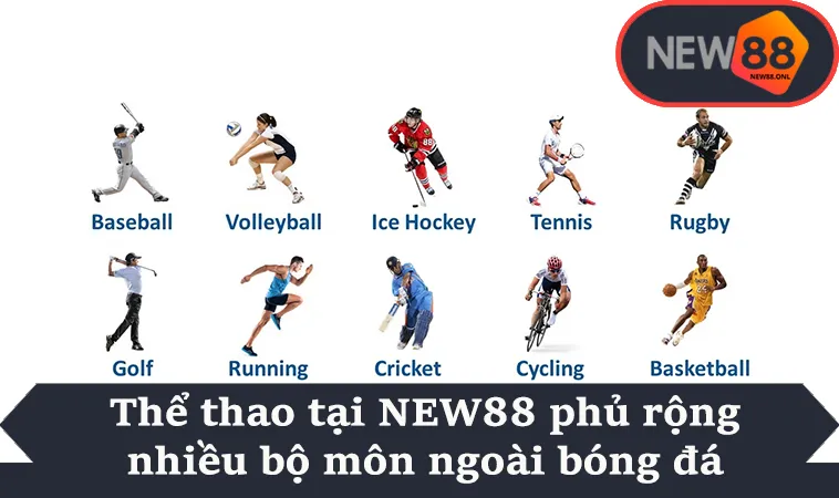 Thể thao tại NEW88 phủ rộng nhiều bộ môn ngoài bóng đá